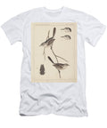 1 19th Century Birds Celestial Images T-Shirt