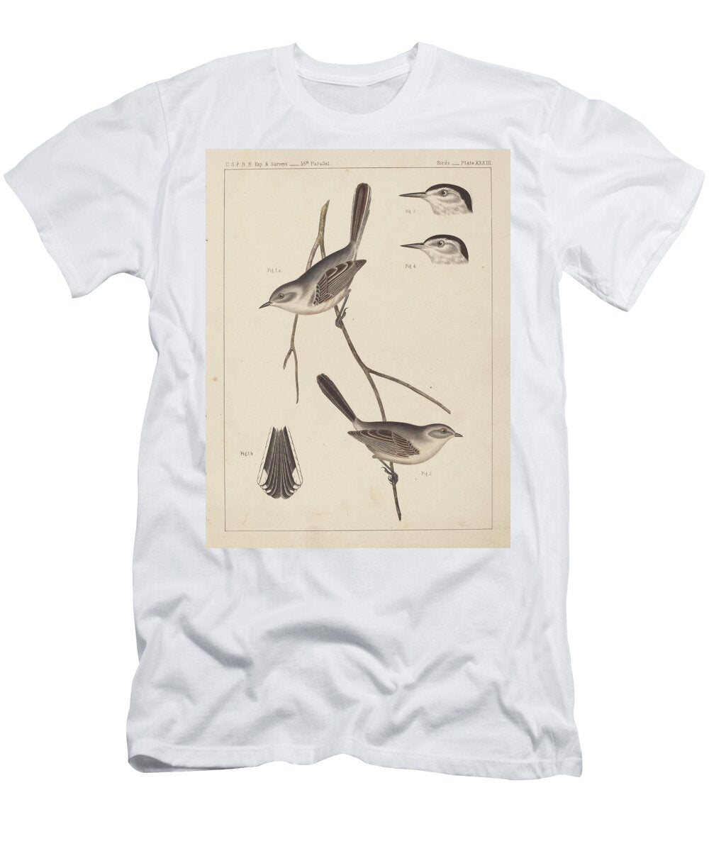 1 19th Century Birds Celestial Images T-Shirt