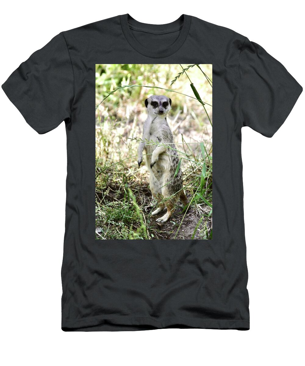 1 Alert Meerkat in the Wild Masha Batkova T-Shirt