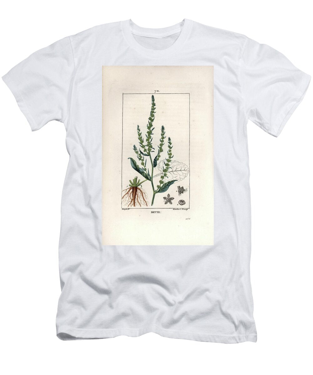 1 Beet Beta Vulgaris European School T-Shirt