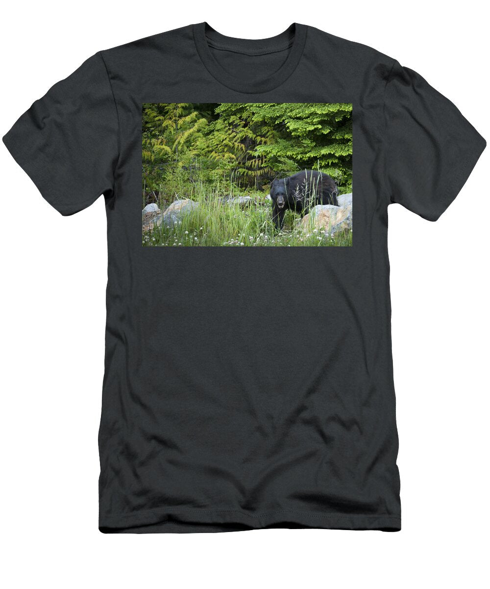 1 Black Bears of Whistler Iiii Paul W Sharpe Aka Wizard of Wonders T-Shirt
