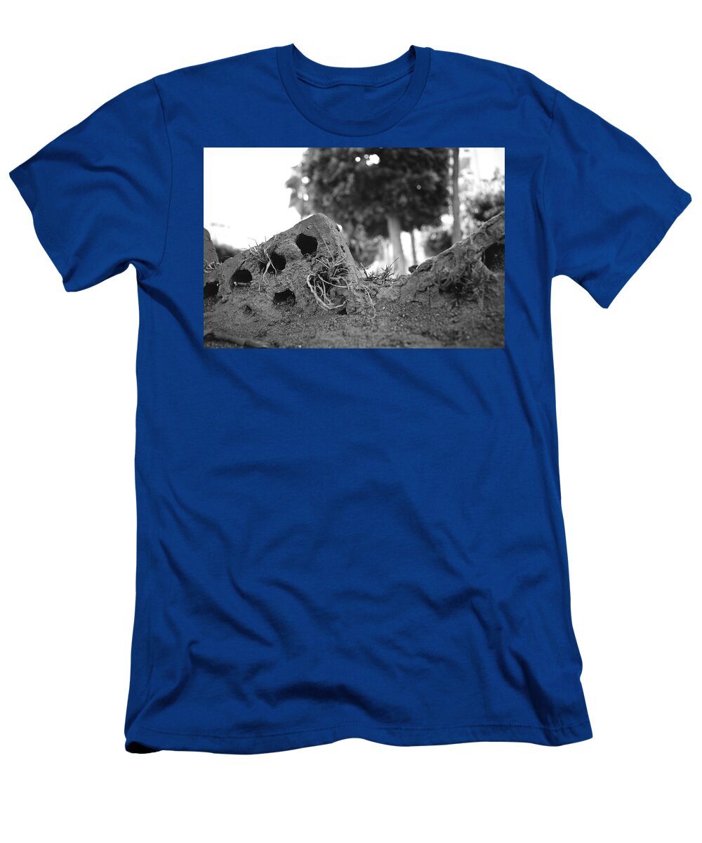 1 Hidden Bricks Art Foto T-Shirt