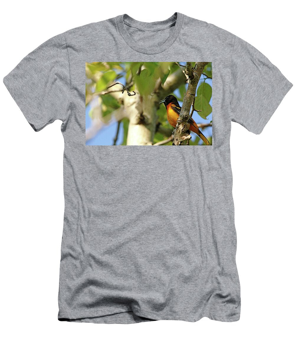 1 Male Baltimore Oriole Debbie Oppermann T-Shirt