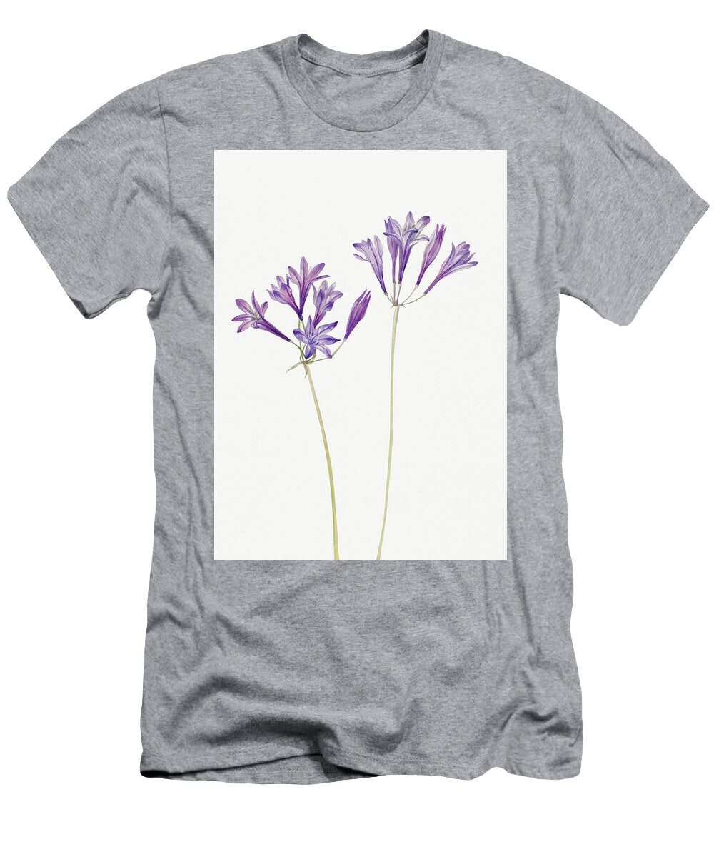 1 Mary Vaux Walcott Original From the Smithsonian Motionage Designs T-Shirt
