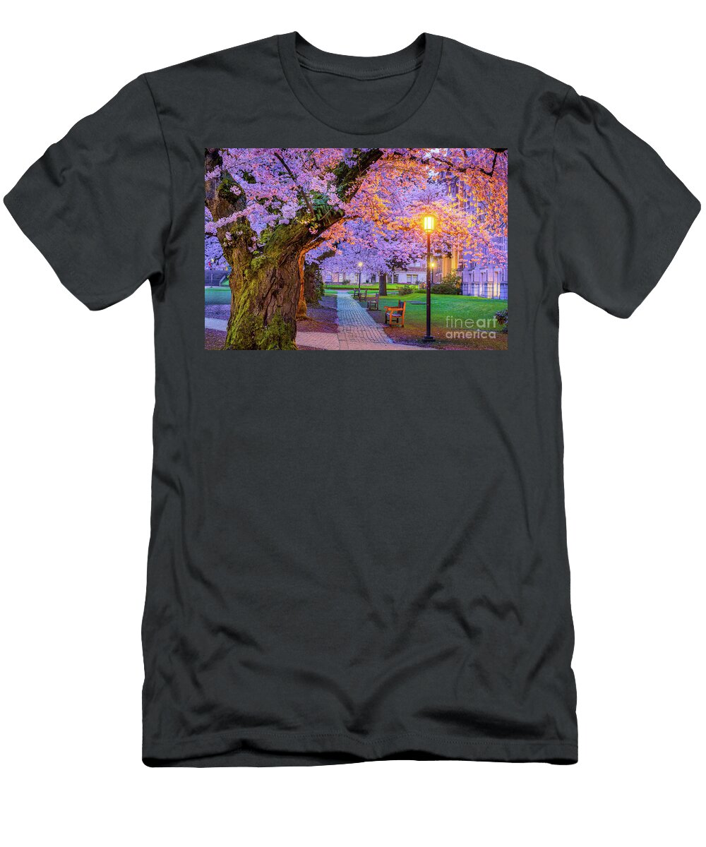 1 Uw Quad Twilight Inge Johnsson T-Shirt