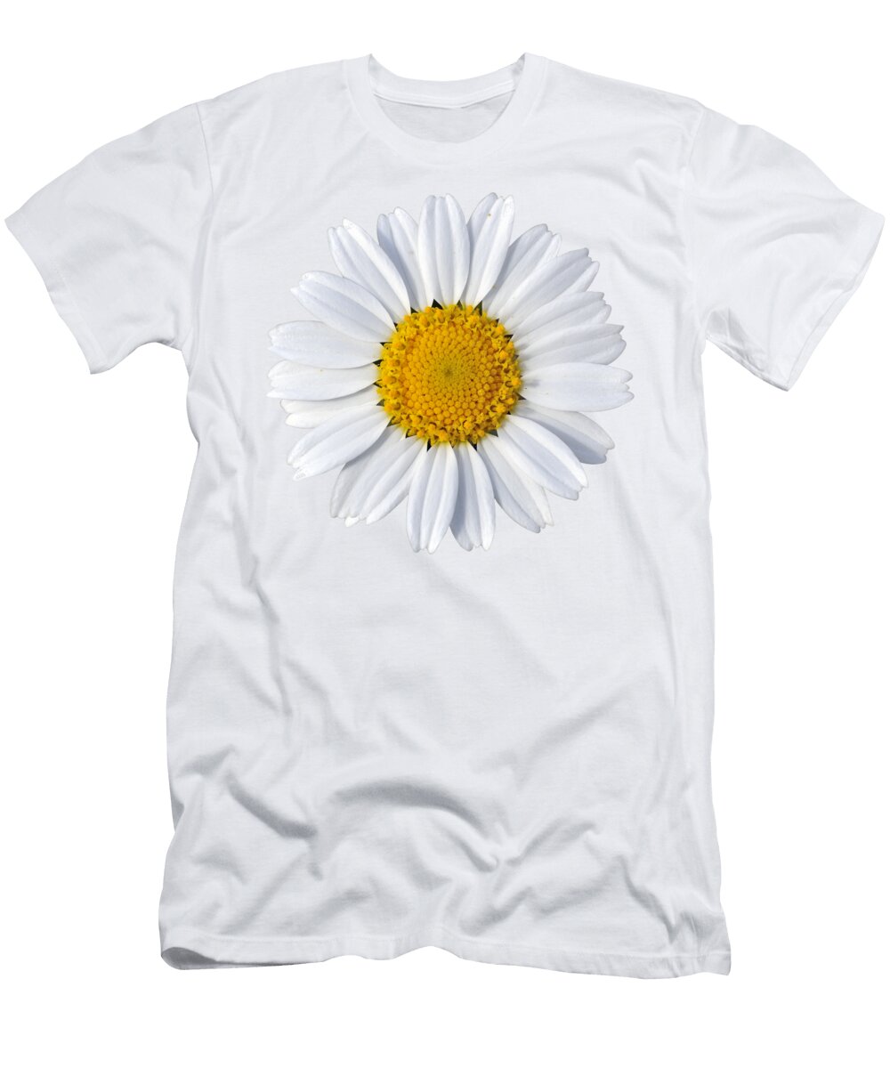 11 Daisy George Atsametakis T-Shirt