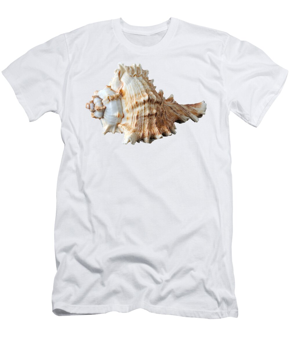 11 Sea Shell George Atsametakis T-Shirt