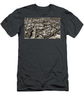 2 Aerial View of the University of Washington Campus Mountain Dreams T-Shirt