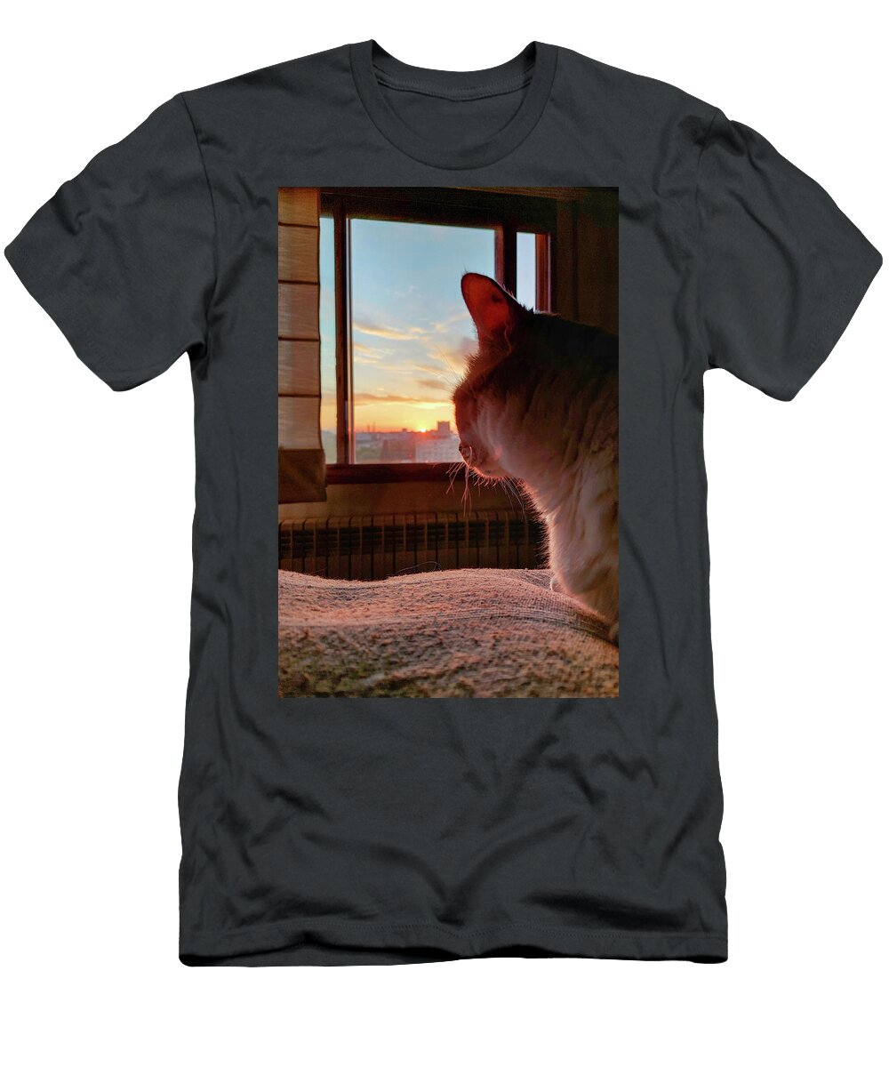 2 Cat Lays on Bed At Sunset Reyes Calvo T-Shirt