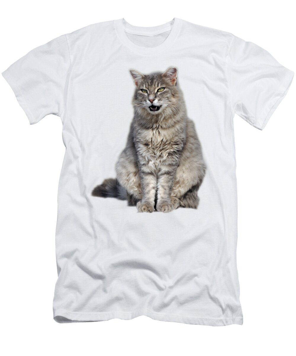 2 Sitting Cat George Atsametakis T-Shirt