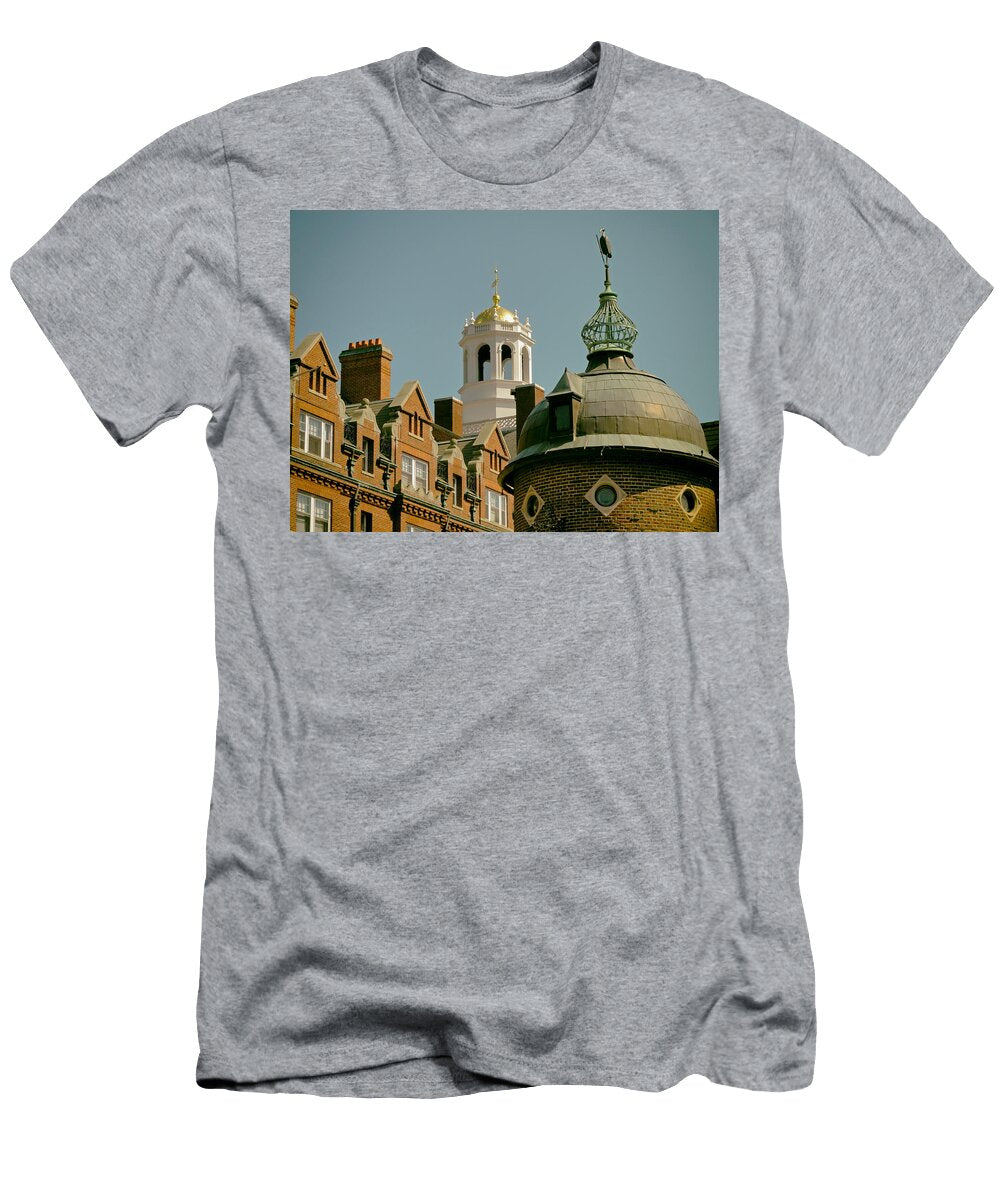 2 the Harvard Lampoon Mountain Dreams T-Shirt