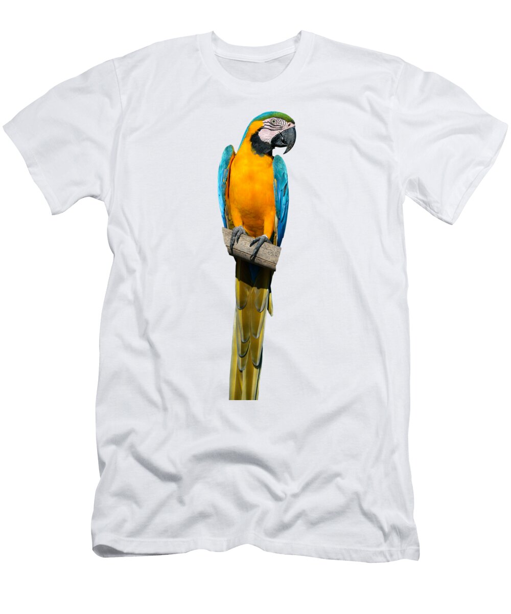 4 Blue and Gold Macaw George Atsametakis T-Shirt