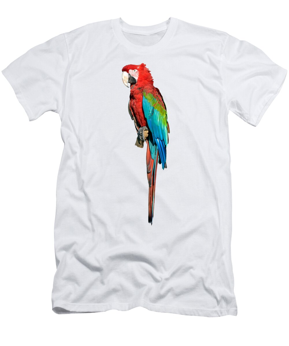4 Red and Green Macaw George Atsametakis T-Shirt