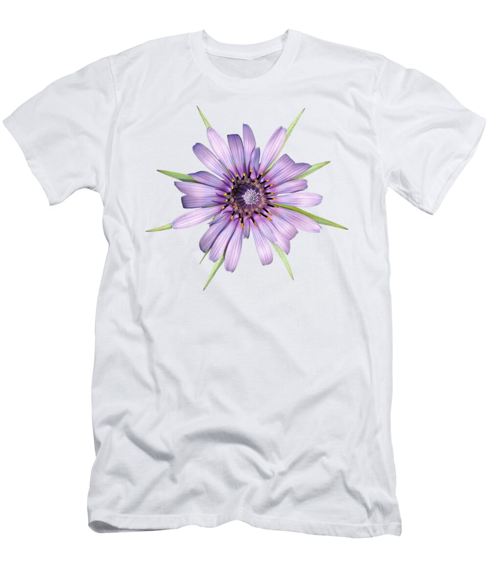 5 Salsify Flower George Atsametakis T-Shirt