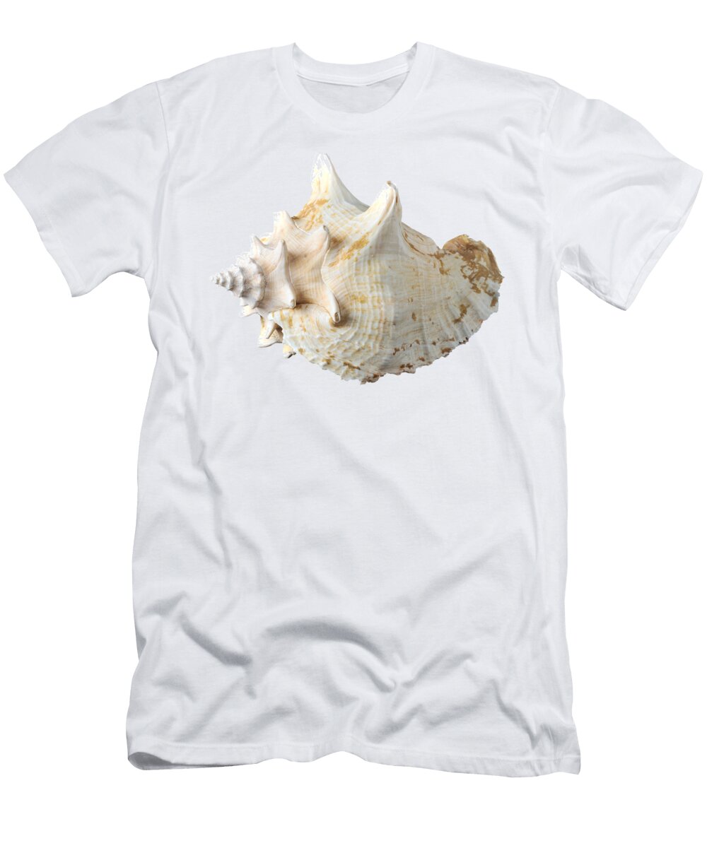 5 Sea Shell George Atsametakis T-Shirt