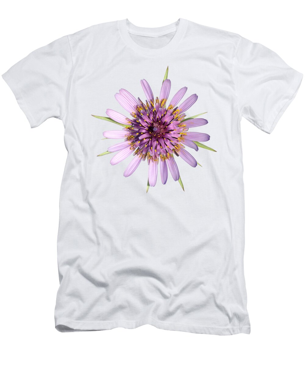 7 Salsify Flower George Atsametakis T-Shirt