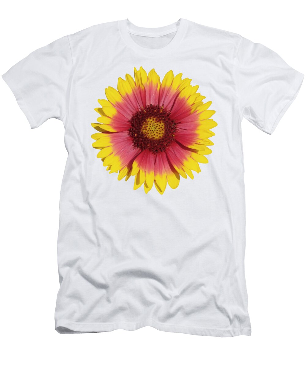 8 Spring Flower George Atsametakis T-Shirt