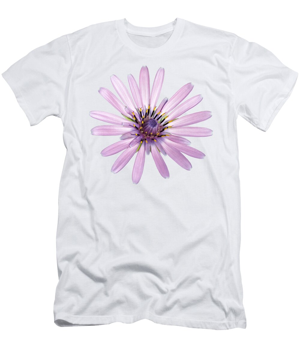 9 Salsify Flower George Atsametakis T-Shirt