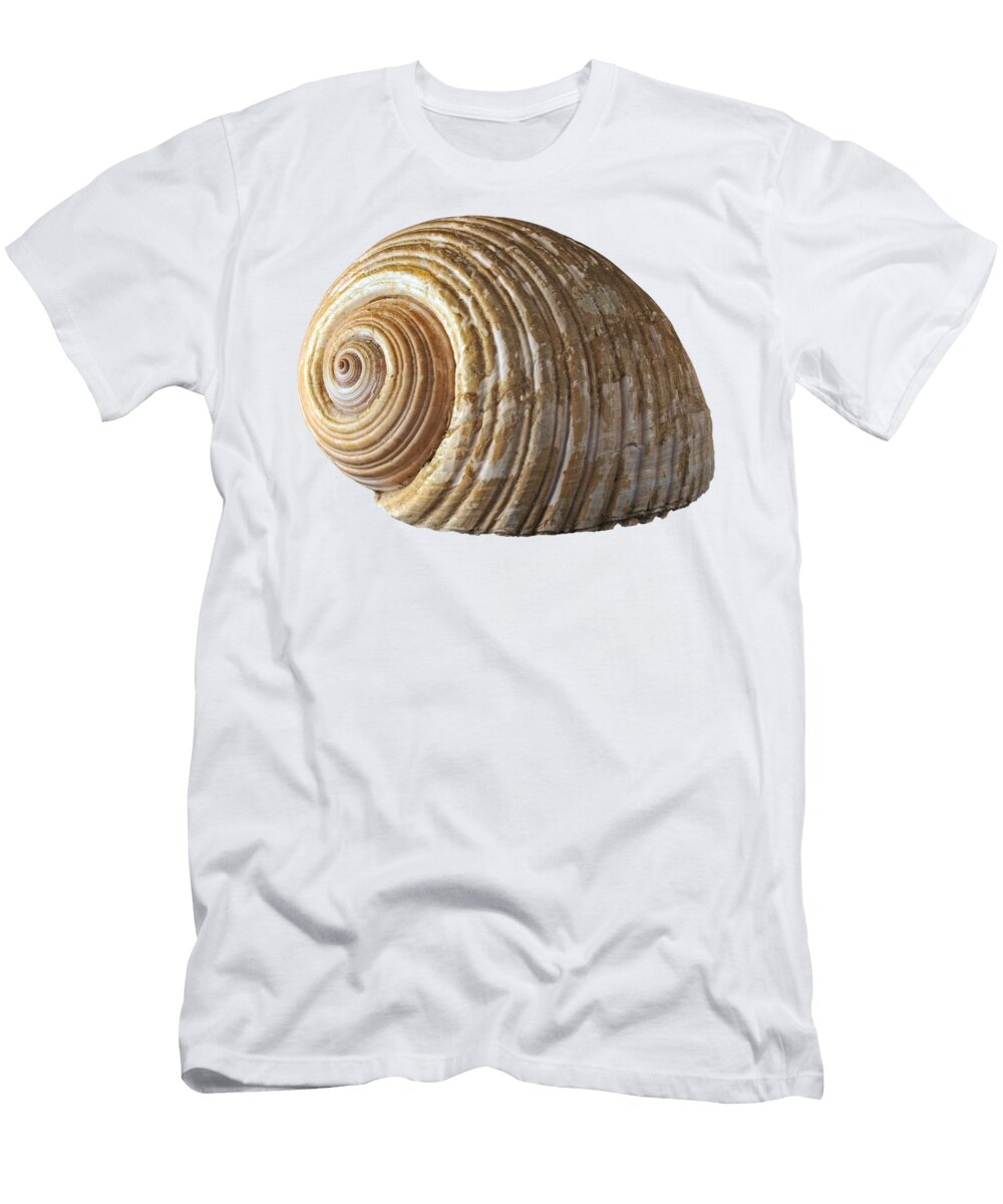 9 Sea Shell George Atsametakis T-Shirt