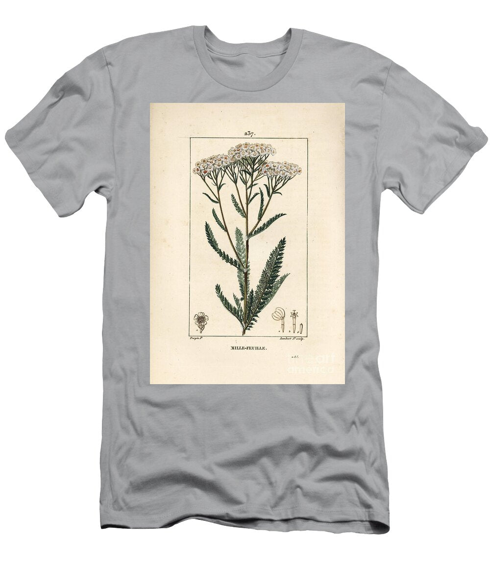 Achillee Yarrow Yarrow Achillea Millefolium Pierre Jean Francois Turpin T-Shirt