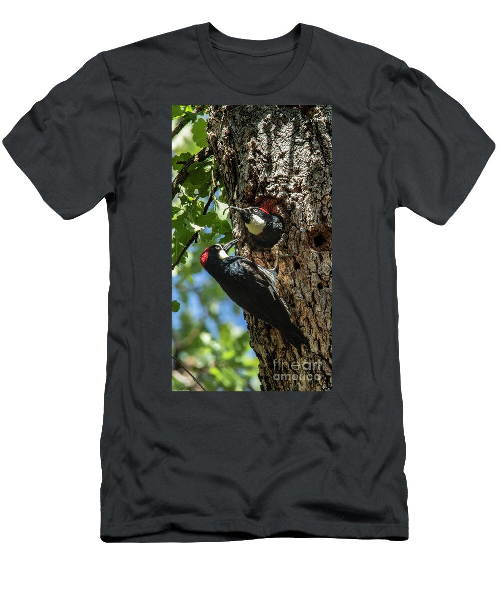 Acorn Woodpeckers 2 Mitch Shindelbower T-Shirt