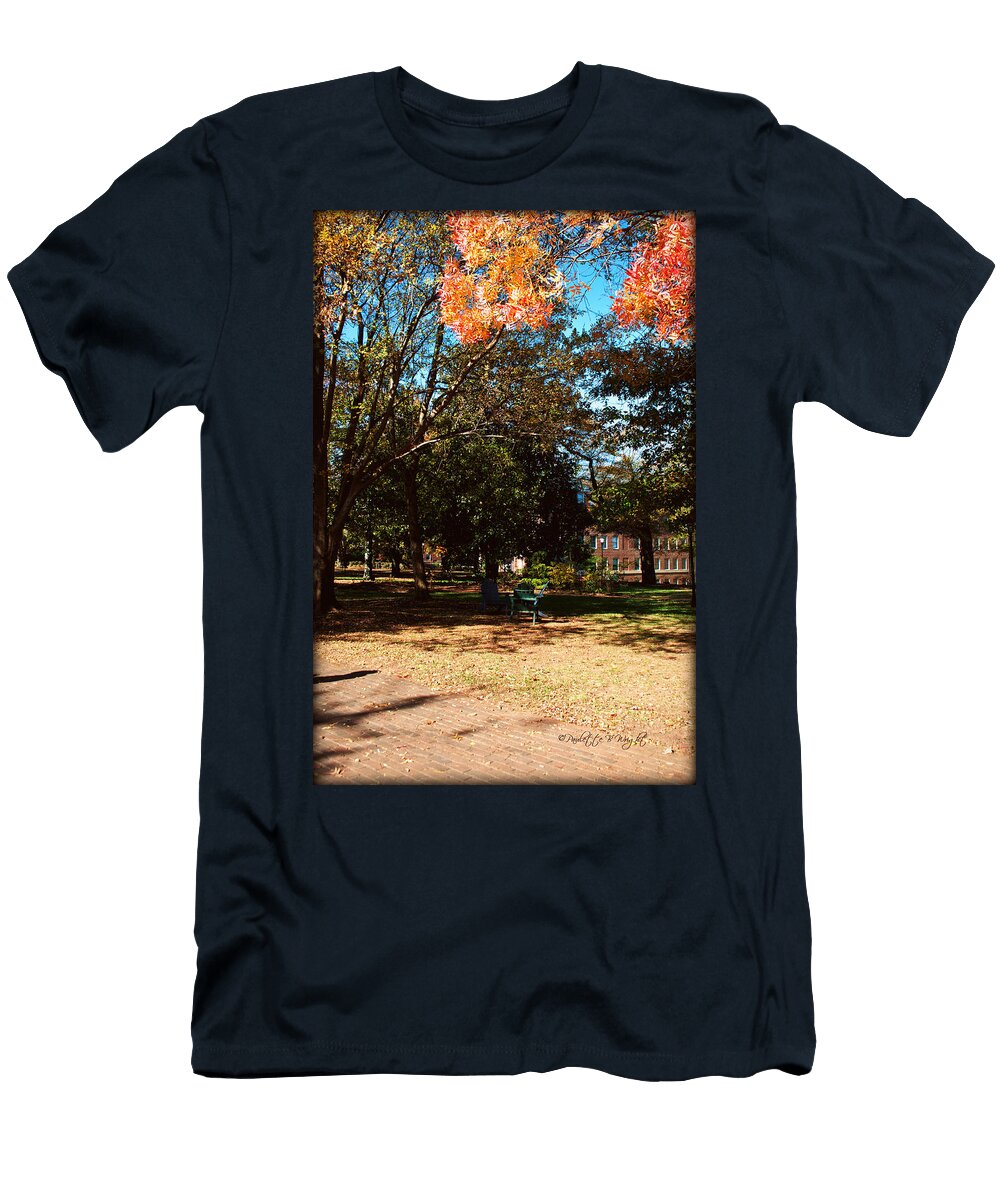 Adirondack Chairs 4 Davidson College Paulette Wright T-Shirt