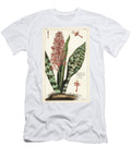 African Bowstring Hemp Sansevieria Hyacinthoides the Younger Dupin T-Shirt