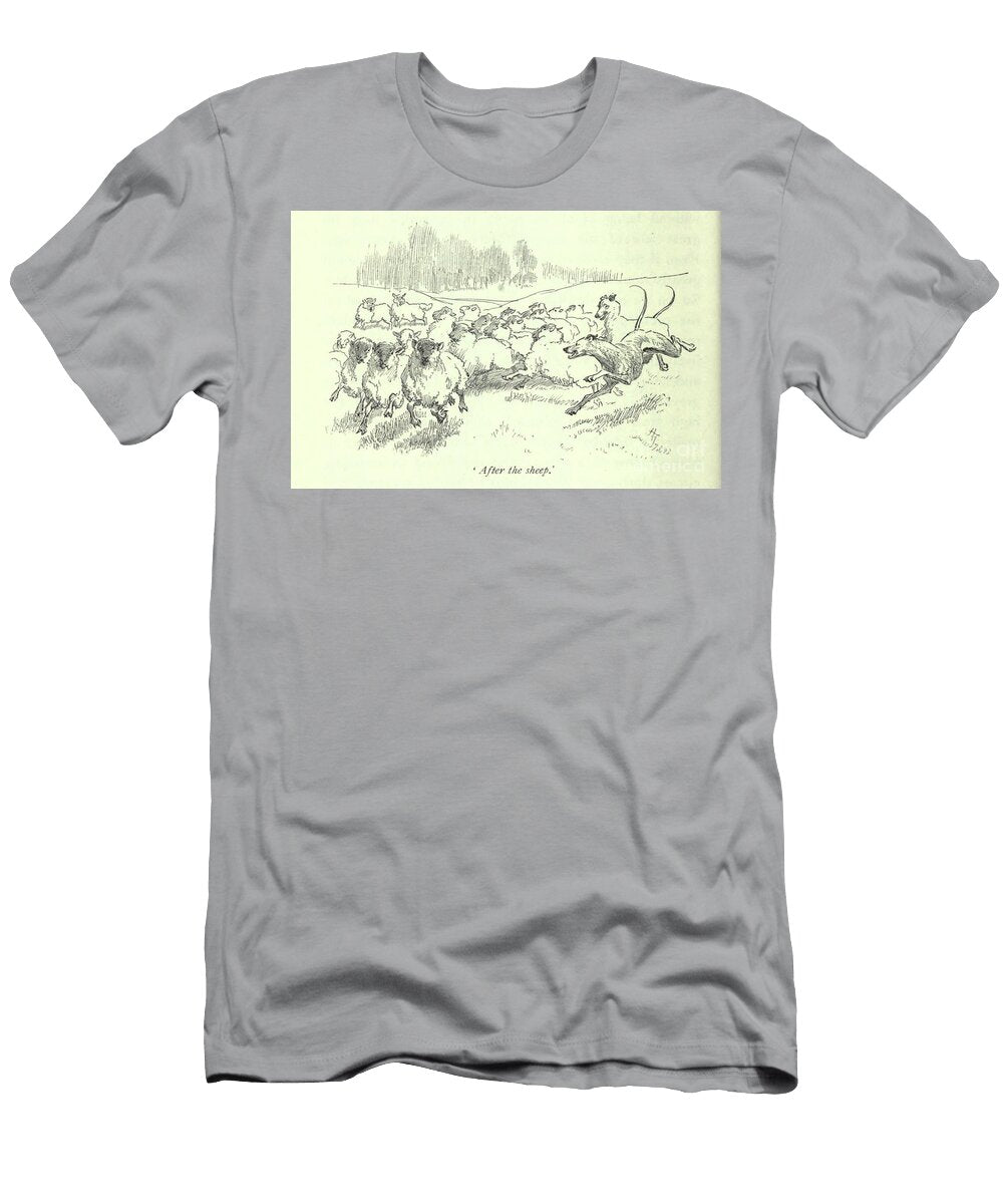 After the Sheep L5 Historic Illustrations T-Shirt