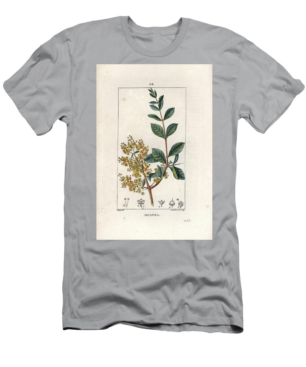Alcanna Le Henne Naturel Extracted From LA Flore Medicale By Chaumeton Poiret Et Chamberet Paris 1830 Henna Tree Lawsonia Inermis European School T-Shirt