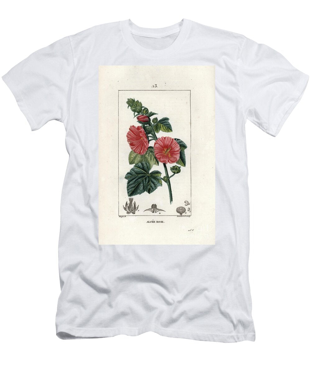Alcee Rose Engraving By Lambert Fils From LA Flore Medicale De Chaumeton Poiret Et Chamberet Paris 1830 Common Hollyhock Alcea Rosea European School T-Shirt