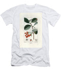 Alisier Engraving By Lambert Fils From LA Flore Medicale De Chaumeton Poiret Et Chamberet Paris 1830 Whitebeam Tree Sorbus Aria European School T-Shirt