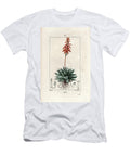 Aloes Engraving By Lambert Fils Based on a Drawing By Pierre Jean Francois Turpin 1775 1840 Rubble or Mitre Aloe Aloe Perfoliata European School T-Shirt