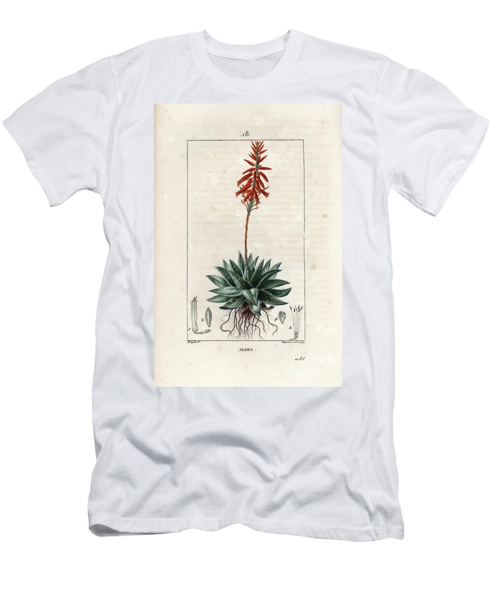 Aloes Engraving By Lambert Fils Based on a Drawing By Pierre Jean Francois Turpin 1775 1840 Rubble or Mitre Aloe Aloe Perfoliata European School T-Shirt