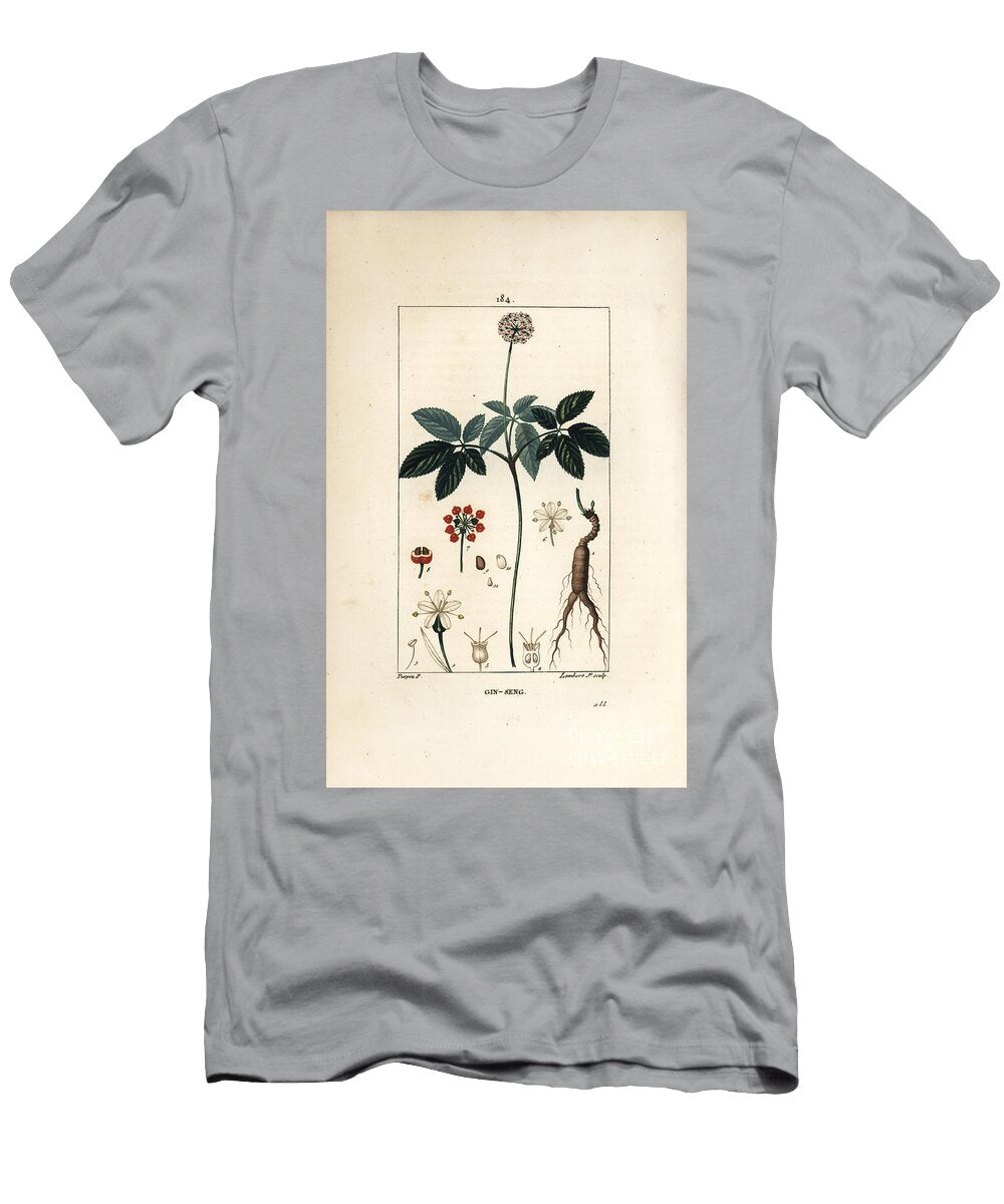 American Ginseng Ou a Cinq Leaflets Ginseng Panax Quinquefolium with Flower Leaf Seed and Root Pierre Jean Francois Turpin T-Shirt