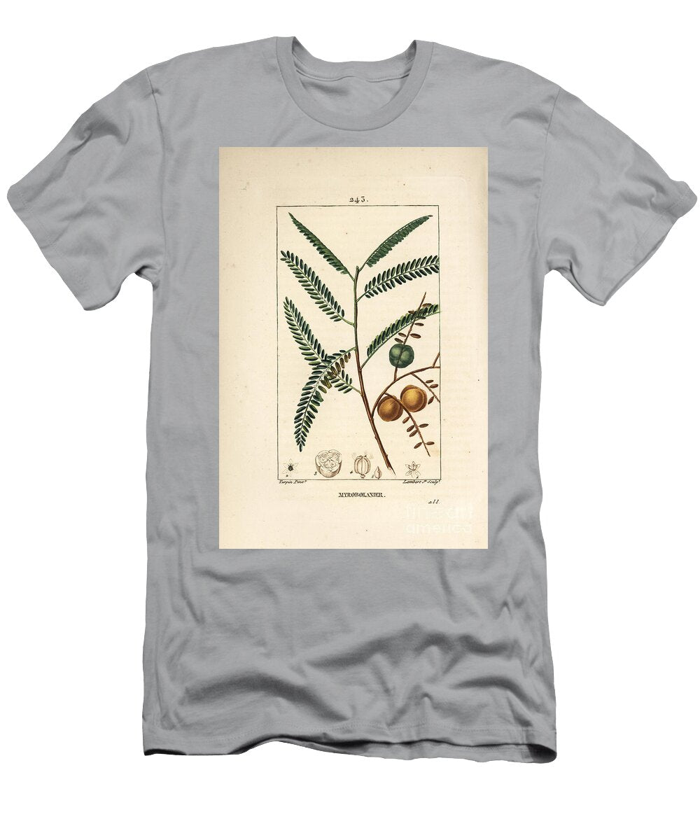 Amla Amala Amalaki Nepalese or Indian Currant Myrobolan Emblique Nepalese or Indian Gooseberry Phyllanthus Emblica Leaf Fruit and Seed Pierre Jean Francois Turpin T-Shirt