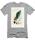 Anacardian or Apple Tree Mahogany Cashew Apple and Nut Anacardium Occidental European School T-Shirt
