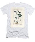 Ancolie Columbine Aquilegia Vulgaris Showing Flower Leaf and Root European School T-Shirt