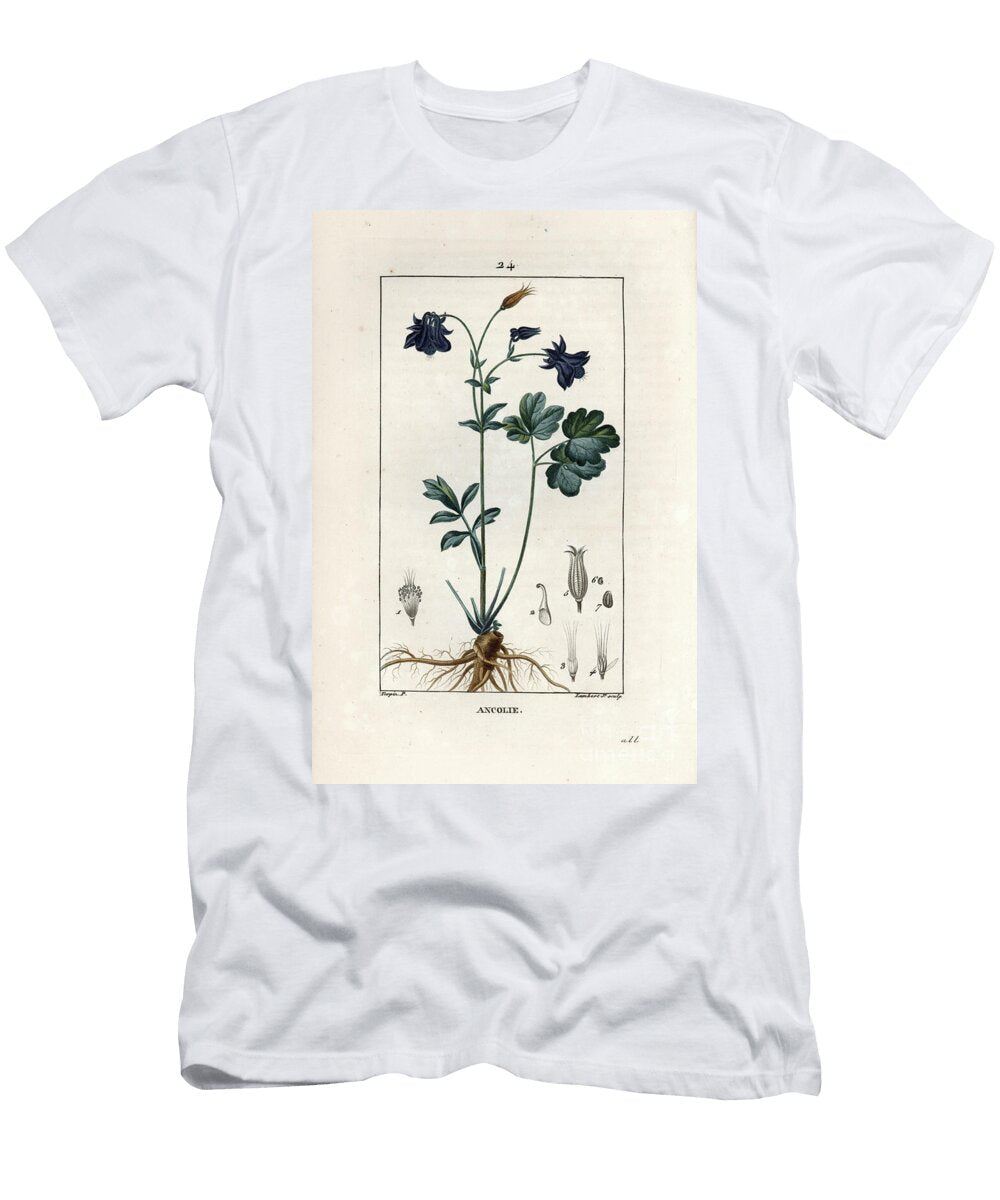 Ancolie Columbine Aquilegia Vulgaris Showing Flower Leaf and Root European School T-Shirt