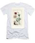 Anemone Extracted From LA Flore Medicale By Chaumeton Poiret Et Chamberet Paris 1830 Wind Flower or Meadow Anemone Pulsatilla Nigricans European School T-Shirt