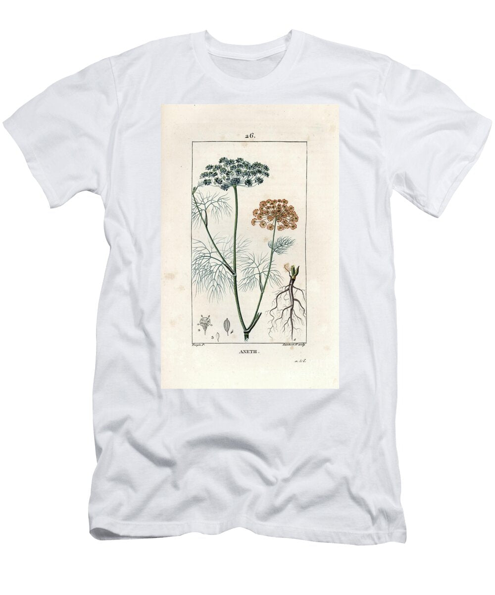 Aneth Engraving By Lambert Fils From LA Flore Medicale De Chaumeton Poiret Et Chamberet Paris 1830 Dill Anethum Graveolens European School T-Shirt