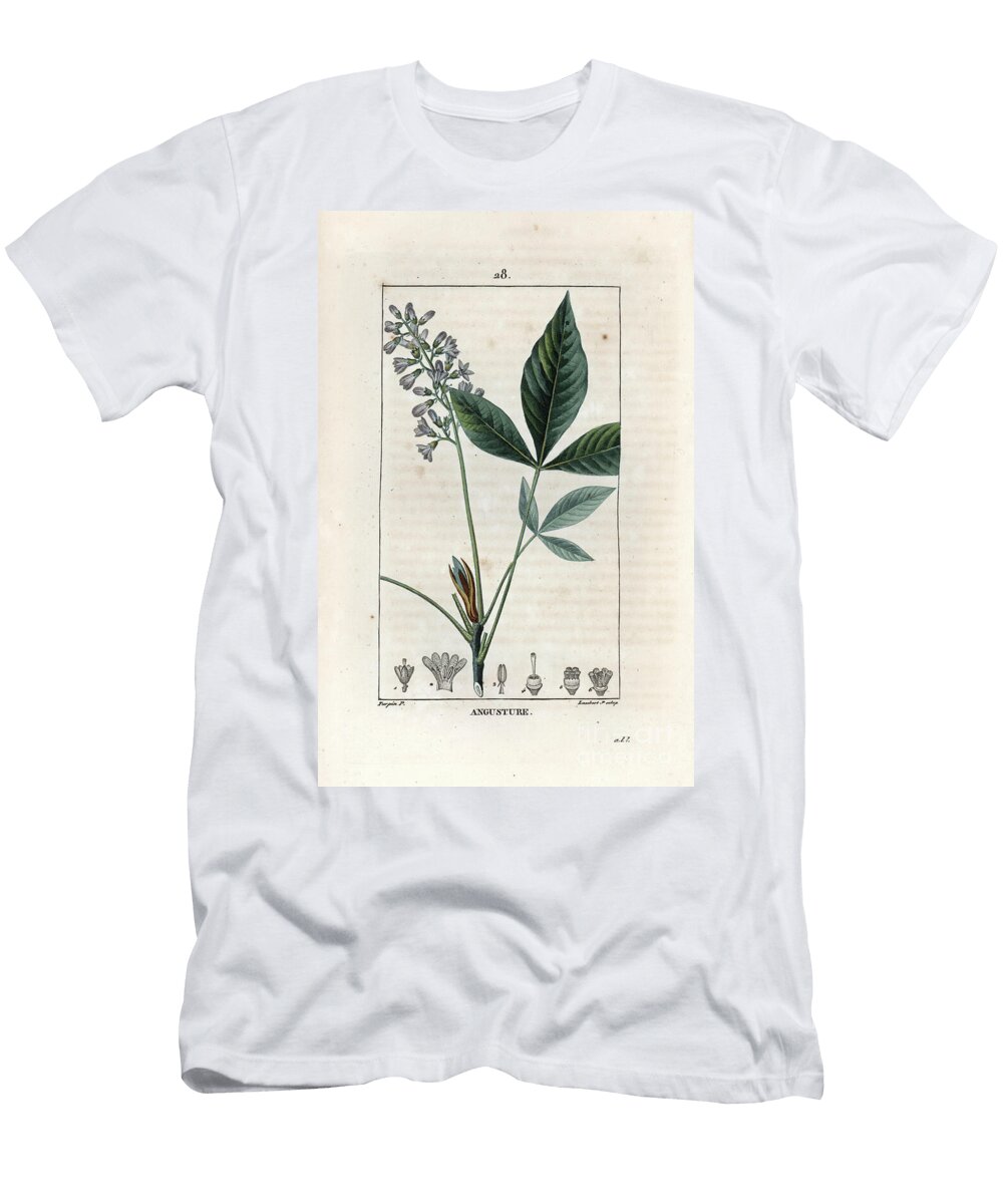 Angusture Angosture European School T-Shirt