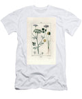 Anis Engraving By Lambert Fils Anise or Aniseed Pimpinella Anisum European School T-Shirt