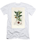 Anis Etoile Chinese Star Anise or Star Aniseed Illicium Verum Poimeton Poimeton Poimeton Poimeton European School T-Shirt