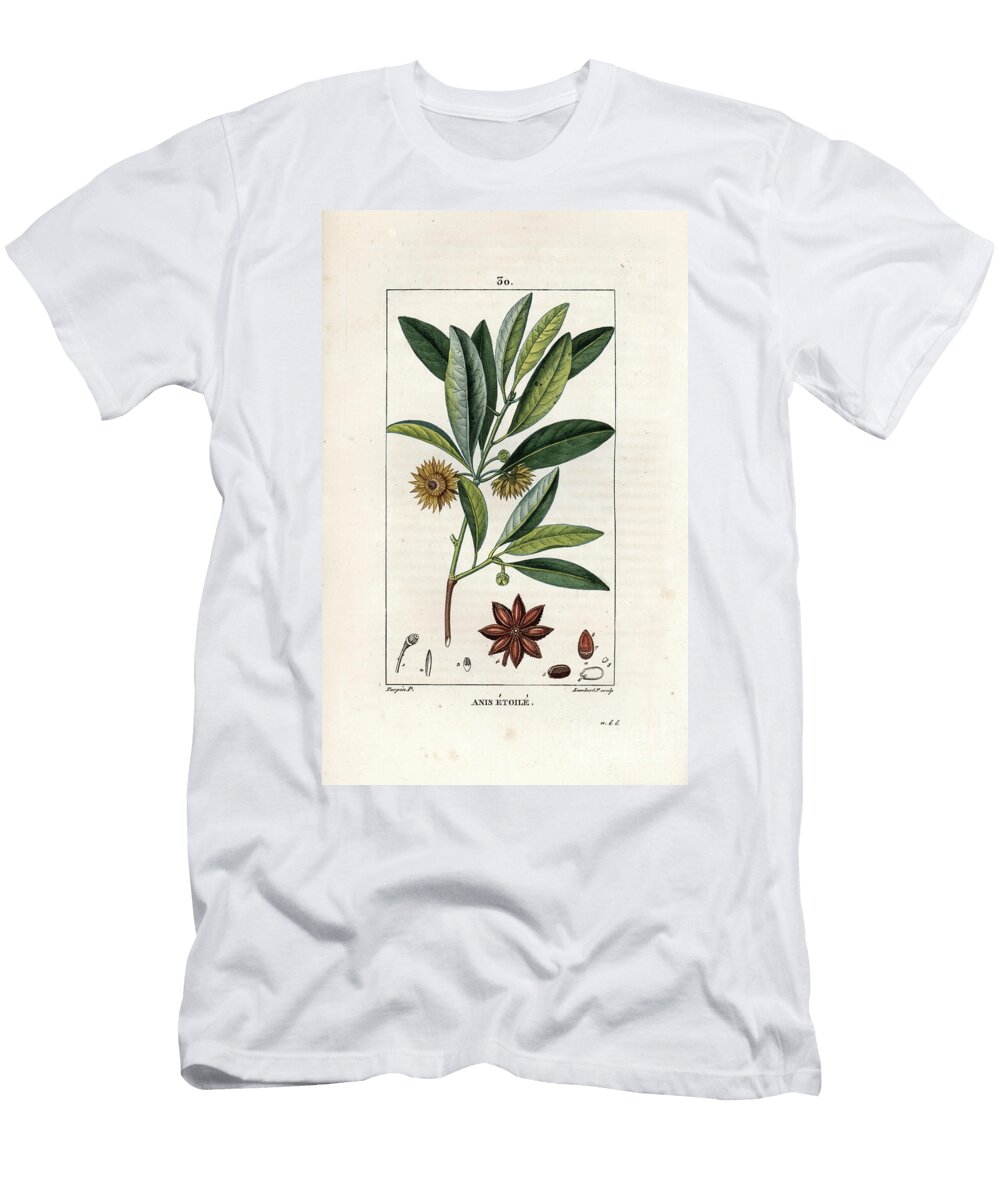 Anis Etoile Chinese Star Anise or Star Aniseed Illicium Verum Poimeton Poimeton Poimeton Poimeton European School T-Shirt