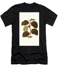 Anoectochilus Setaceus Edward Joseph Lowe English T-Shirt