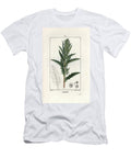 Anserine Shrubby Goosefoot or American Wormseed Dysphania Anthelmintica European School T-Shirt