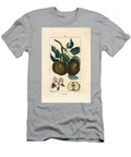 Apple Tree Apple Malus Domestica with Branch Leaf Fruit Blossom and Ripe Fruit in Section Showing Seeds Ernestine Panckoucke T-Shirt