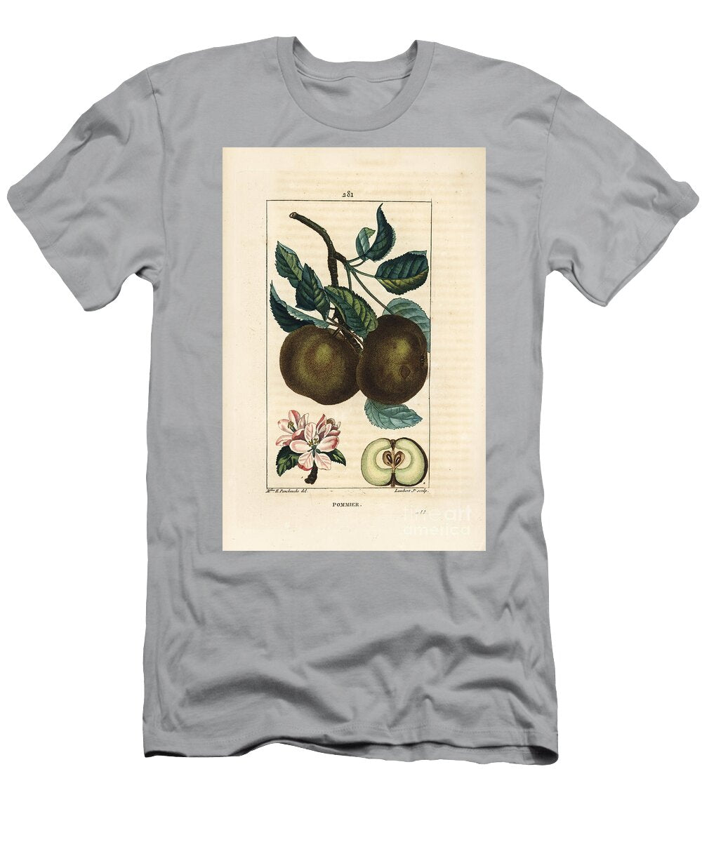 Apple Tree Apple Malus Domestica with Branch Leaf Fruit Blossom and Ripe Fruit in Section Showing Seeds Ernestine Panckoucke T-Shirt