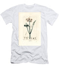 Aquatic Oenanthe or Water Fennel Fine Leaved Water Dropwort Oenanthe Aquatica Pierre Jean Francois Turpin T-Shirt