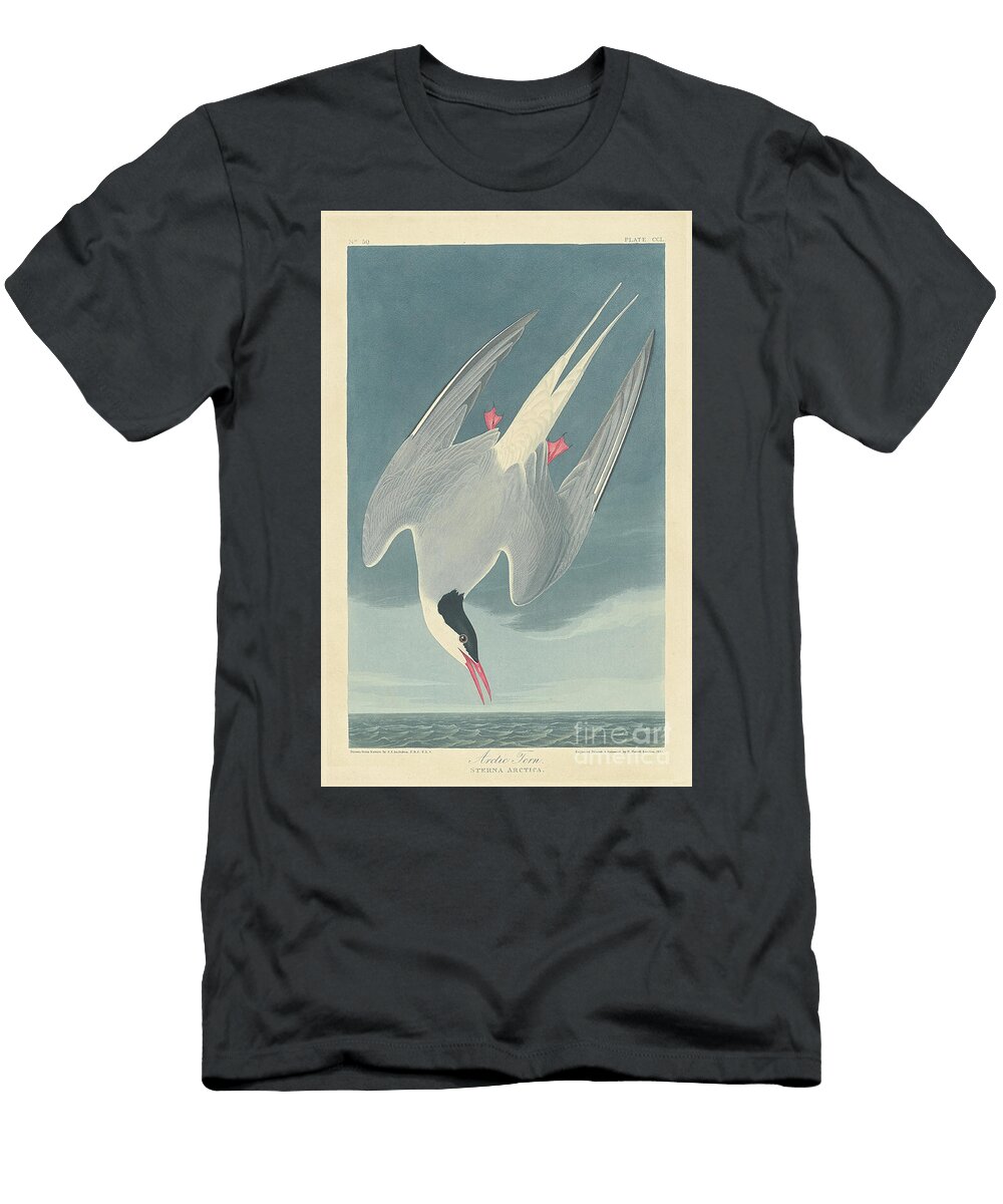 Arctic Tern 1835 Coloured Engraving John James Audubon T-Shirt